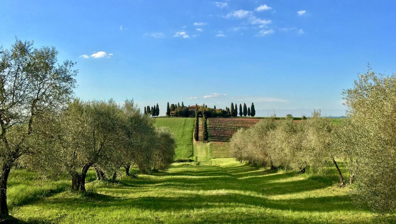 Residenza D'Epoca La Rosa Apartment Pienza Bagian luar foto