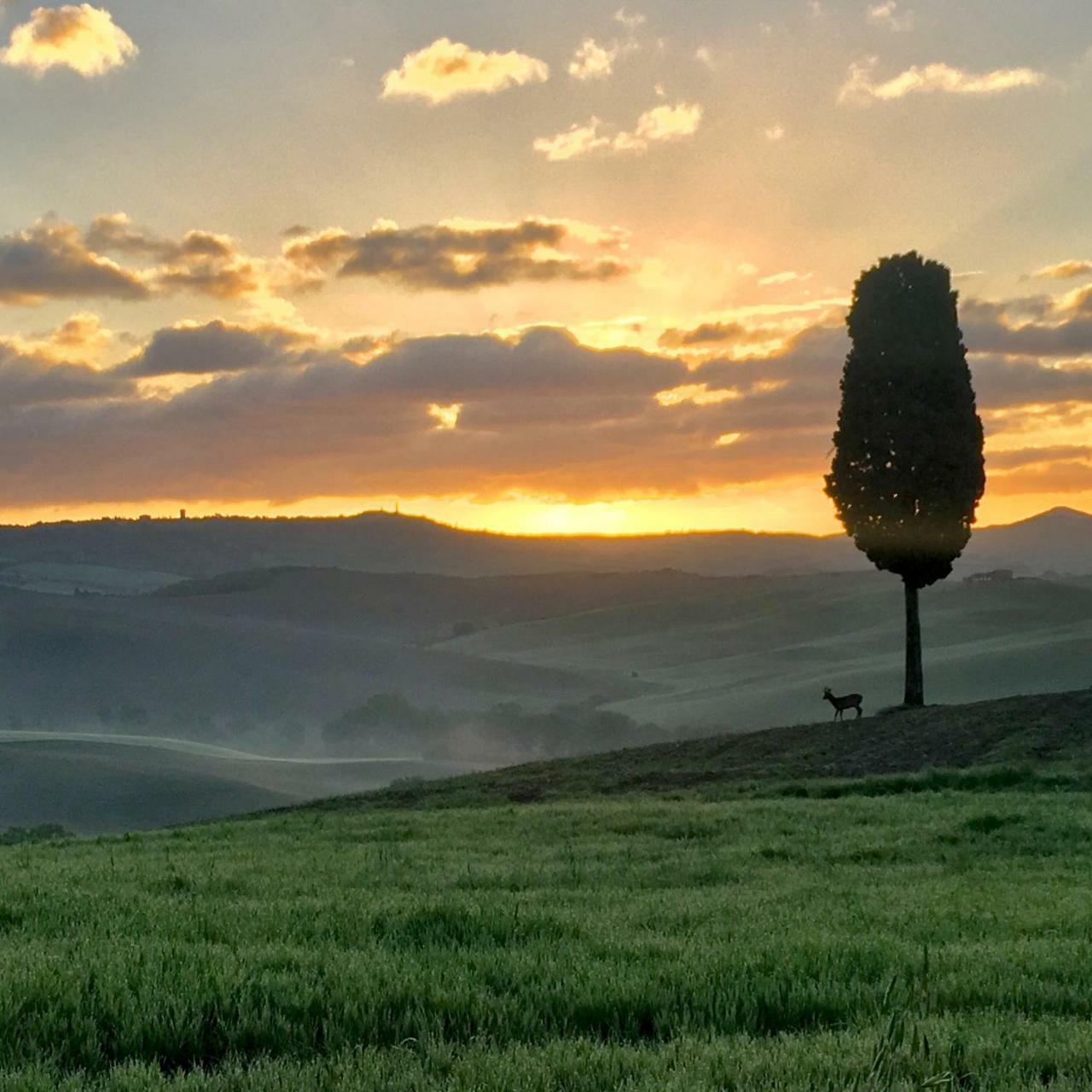 Residenza D'Epoca La Rosa Apartment Pienza Bagian luar foto