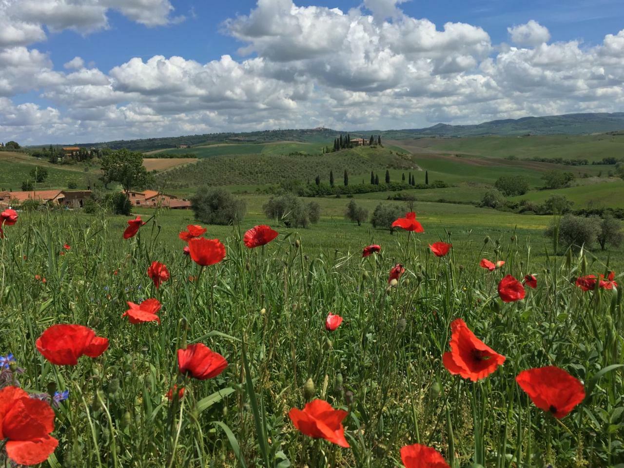 Residenza D'Epoca La Rosa Apartment Pienza Bagian luar foto