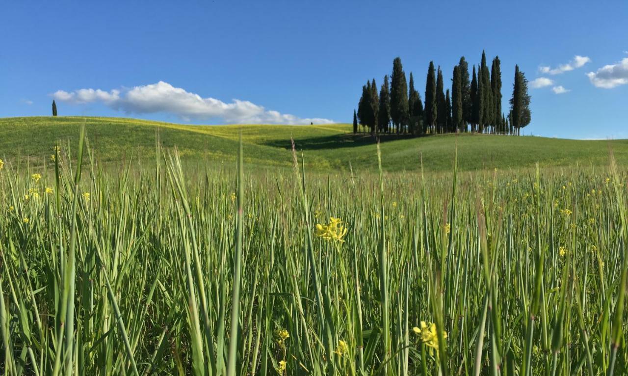 Residenza D'Epoca La Rosa Apartment Pienza Bagian luar foto
